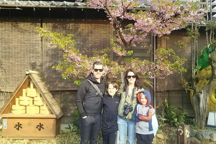 Cherry blossom in Kawagoe