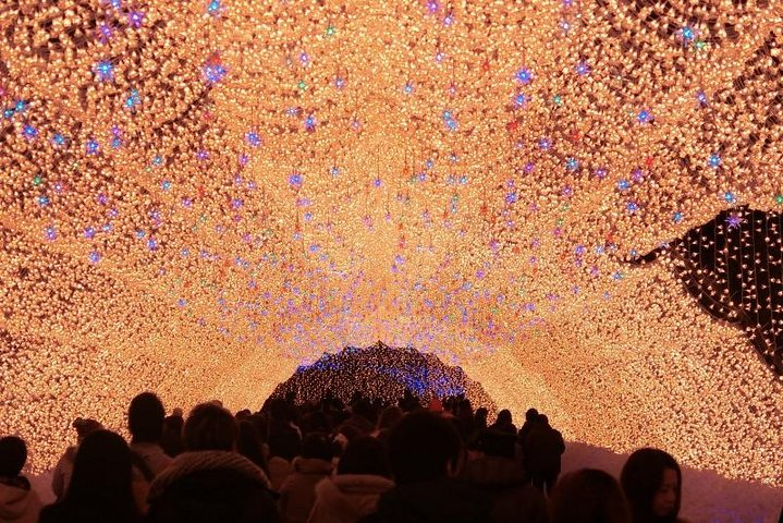 Immerse yourself in a stunning display of illuminated cherry blossoms as you stroll through Nagoya's famous light festival creating unforgettable memories against a dazzling backdrop.