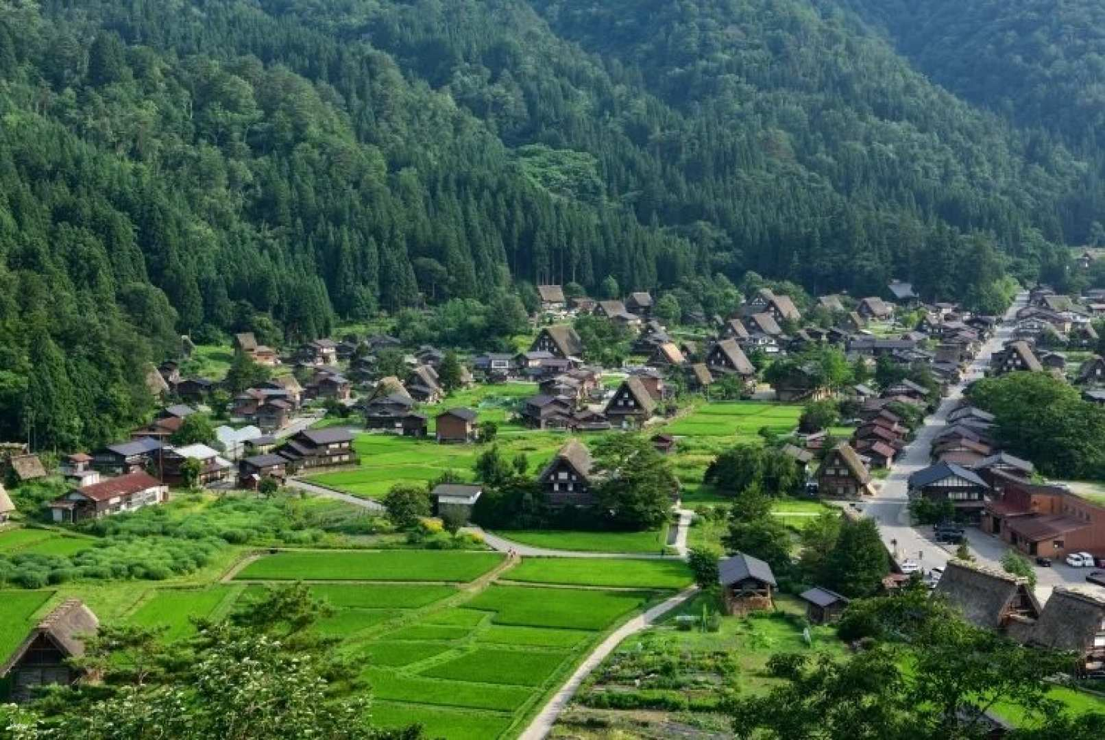 [Korean Guide] Nagoya Takayama Shirakawago Bus Tour (Famous Curry Bread Giveaway) - Photo 1 of 4