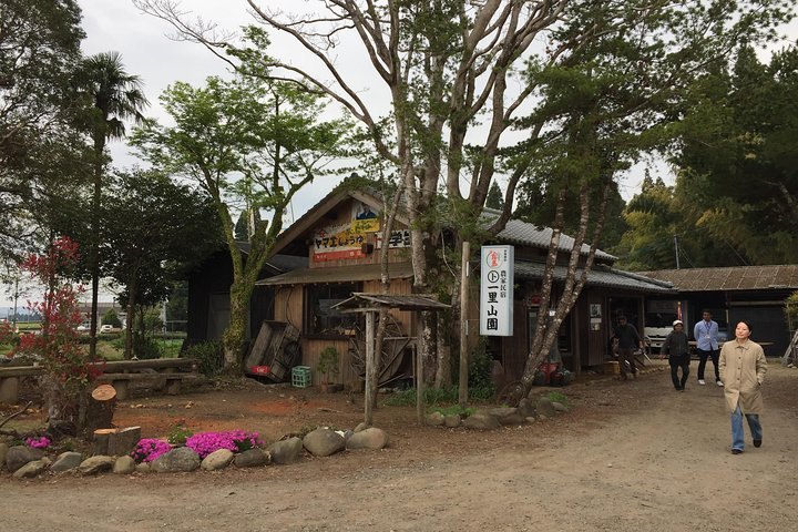 Experience the charm of rural Miyazaki where seasonal vegetables and traditional cold soup create a delightful culinary journey. Engage with locals and savor authentic flavors in a serene garden setting.