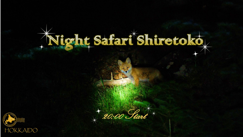 (SHINRA) Night Safari Shiretoko - Photo 1 of 4