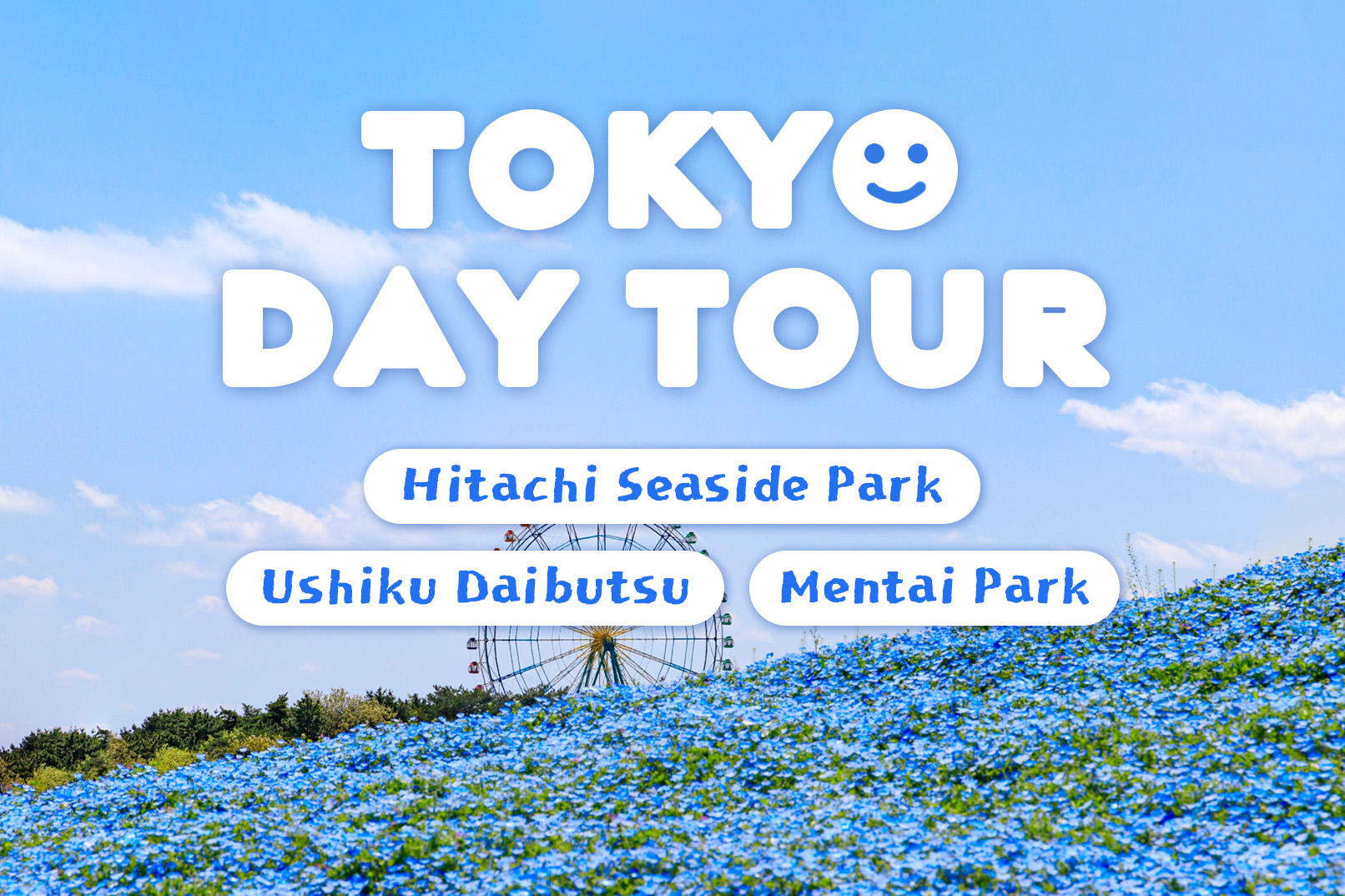 Hitachi Seaside Park + Ushiku Daibutsu + Mentai Park - Photo 1 of 10
