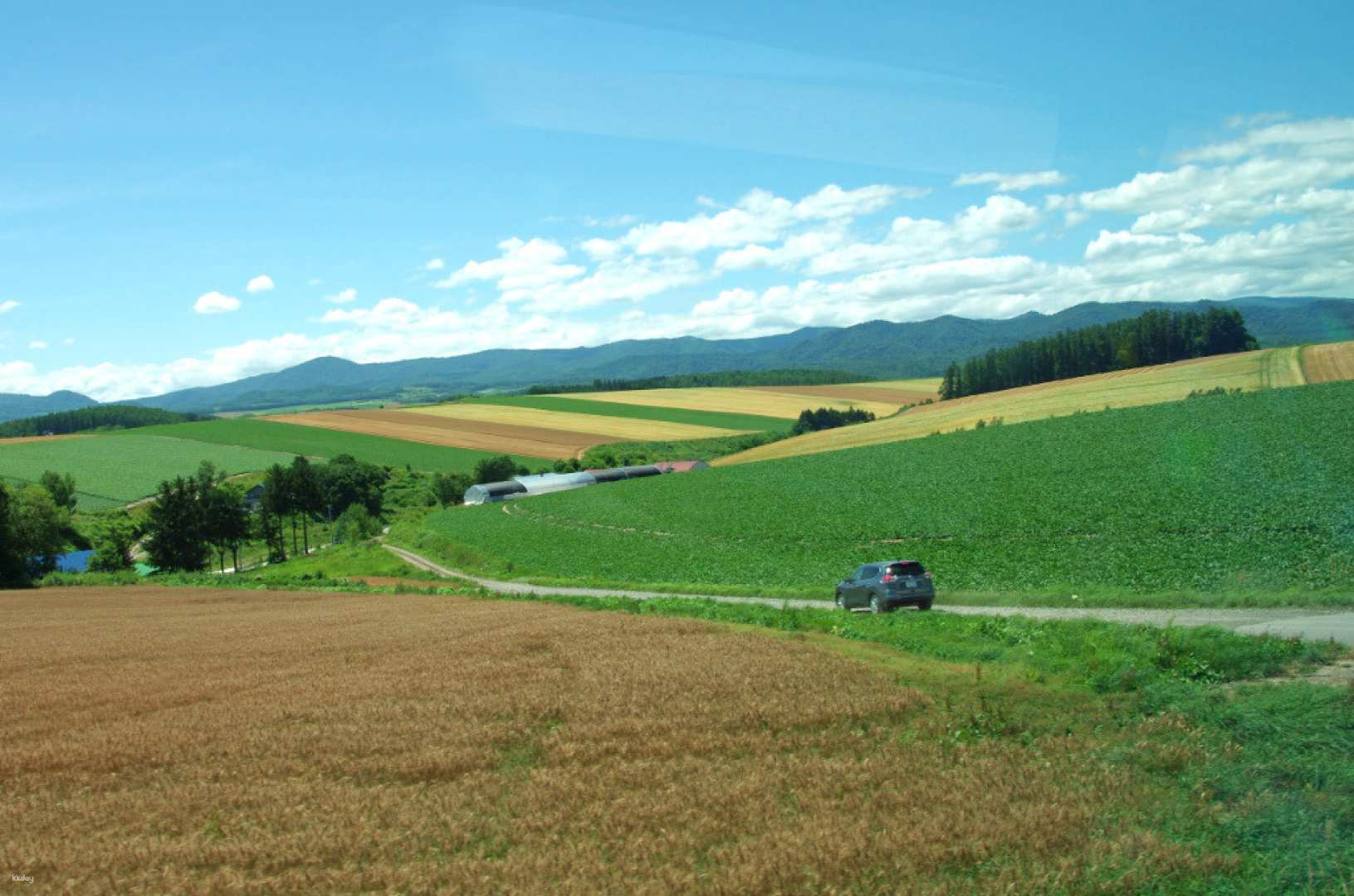 Experience the rolling fields and picturesque landscapes of Hokkaido. Perfect for nature lovers this tour offers easy access to iconic sights while enjoying the scenic journey.