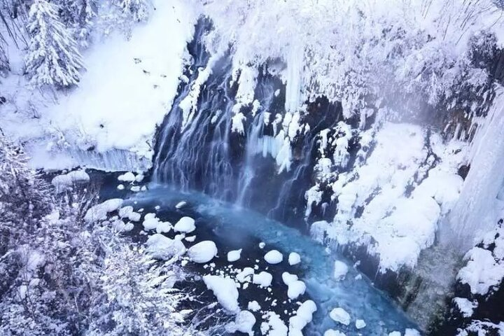 Hokkaido Day Tour from Sapporo: Asahiyama Zoo, Blue Pond Japan