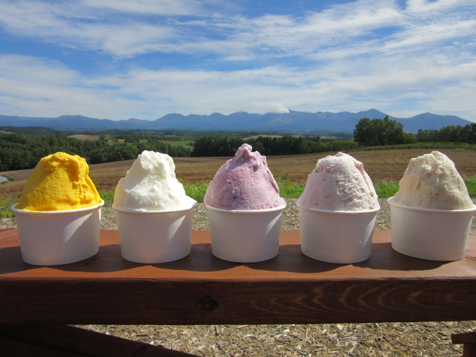 Hokkaido Furano Miyama Pass Art Park E-ticket (Voucher) <Trick Art Museum and Ferris wheel> - Photo 1 of 7