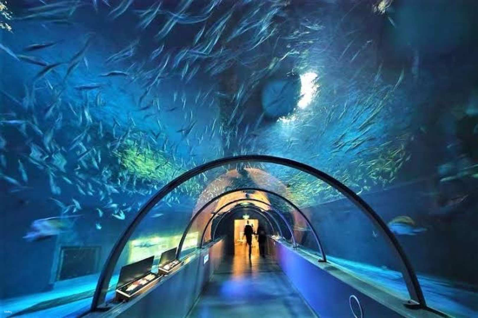 Hokkaido Day Tour | Explore Date Jidai-mura or Stroll through Noboribetsu Hell Valley, Otaru Canal, and Shiroi Koibito Park | Depart from Sapporo - Photo 1 of 8