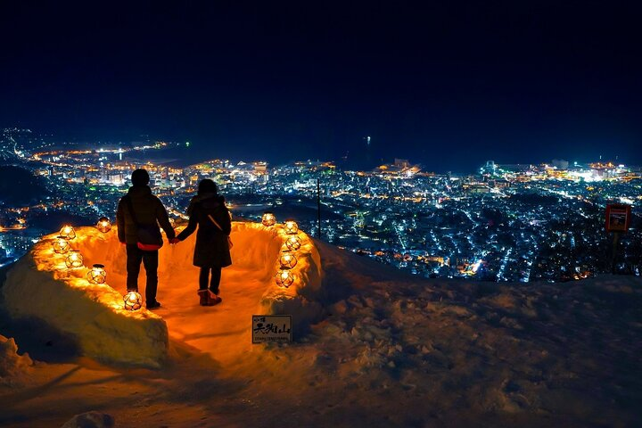 Hokkaido Otaru Aquarium, Ropeway, Cinematic Bus Tour from Sapporo - Photo 1 of 25