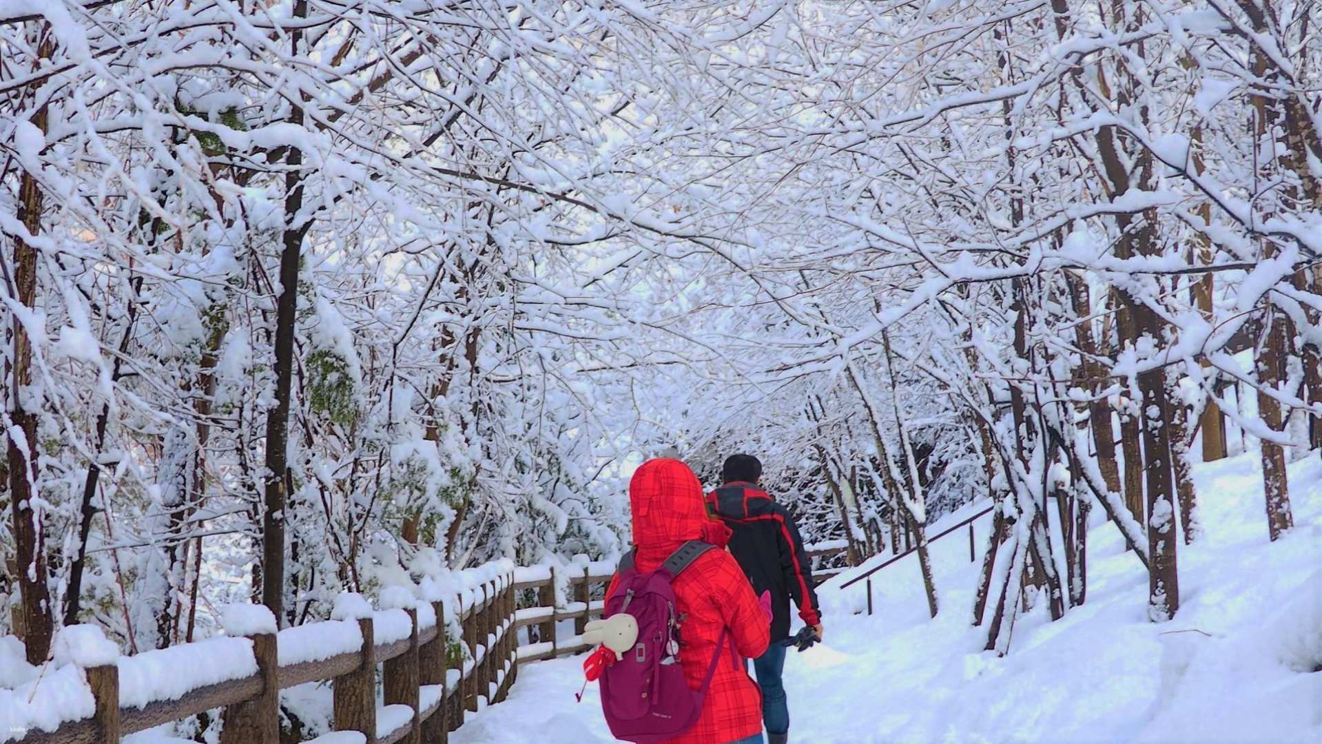 Hokkaido: Sapporo Sightseeing  Half Day Bus Tour (AM/PM) - Photo 1 of 25