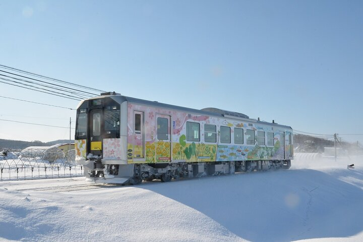 Winter Kushiro Wetland Nature Train & Okhotsk Drift Ice - Photo 1 of 6