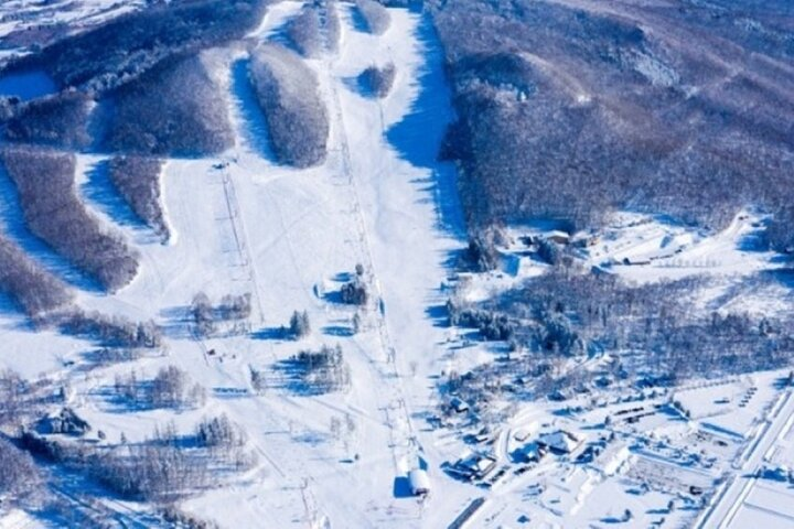 First Ski Experience in Higashikawa – One-Day Lesson - Photo 1 of 6