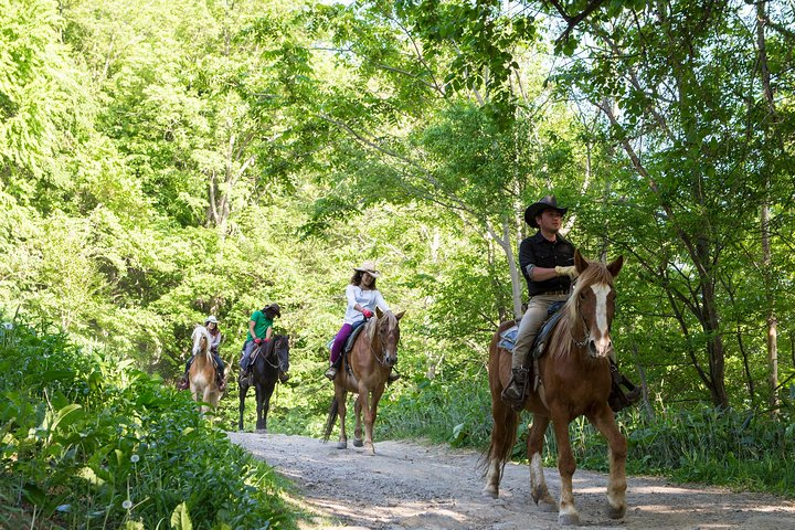 Horseback-Riding in a Country Side in Sapporo - Private Transfer is Included - Photo 1 of 13