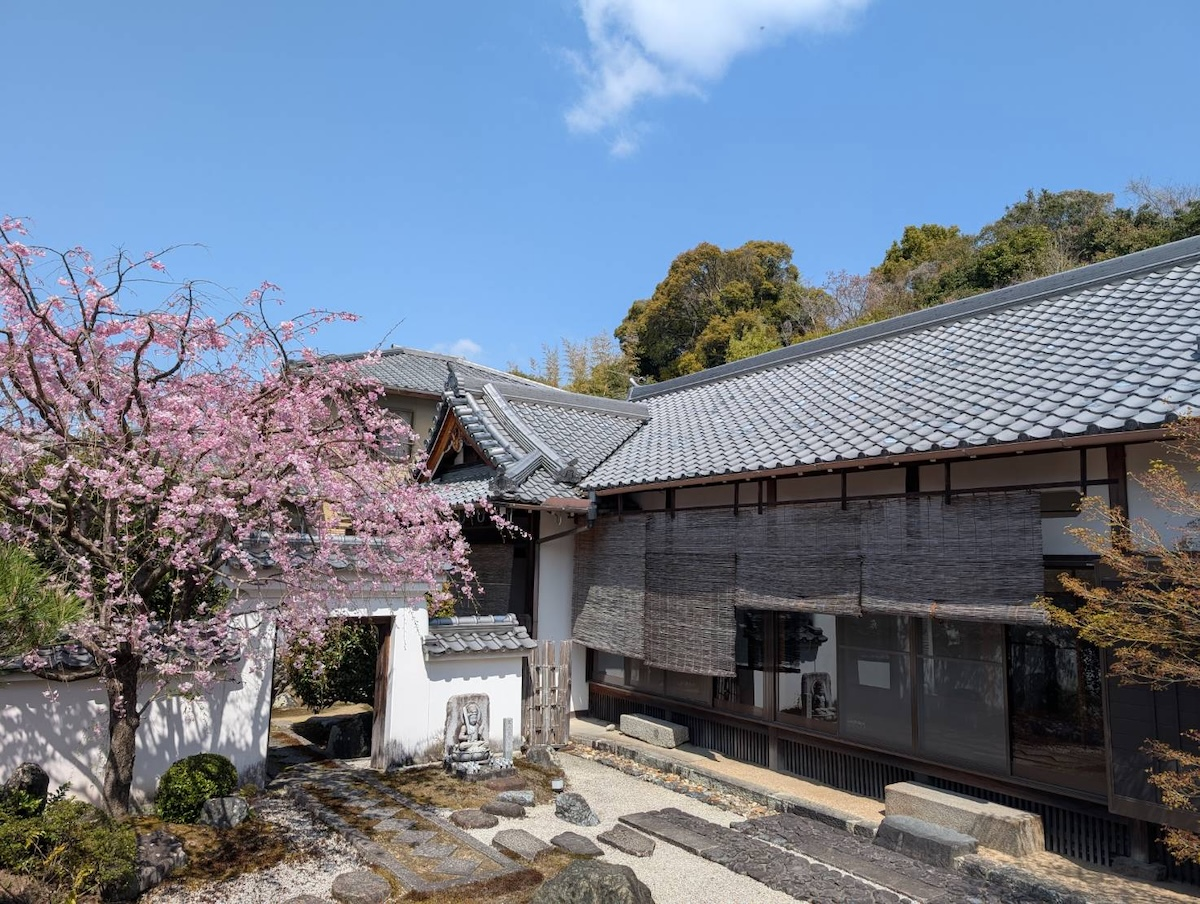 Hozen-in Temple Uji Kyoto Zen Meditation Experience and Shojin-Inspired Medicinal Sweet “Temple Sesame Pudding” - Photo 1 of 9