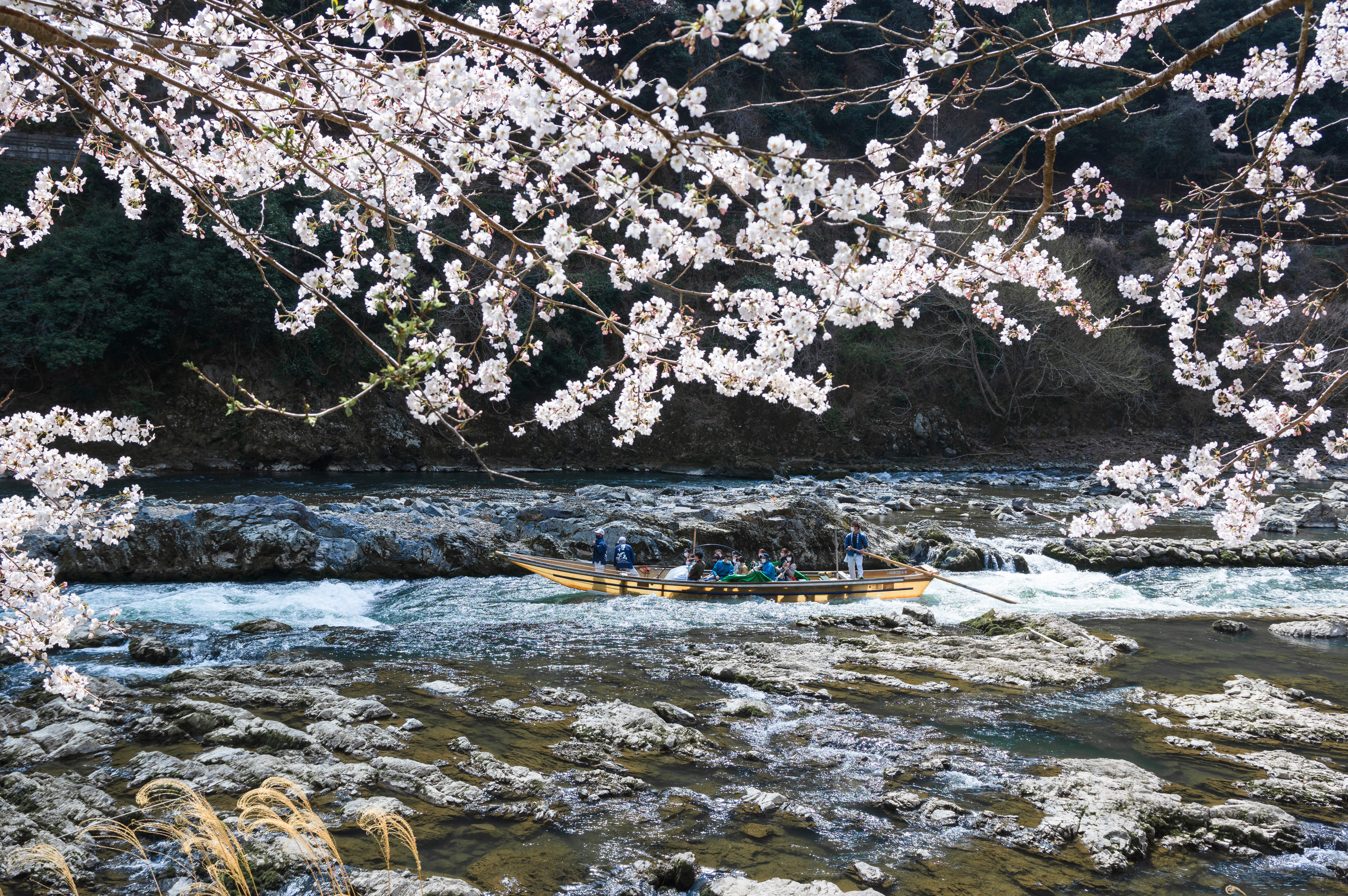Hozugawa River Boat Ride Charter Boat - Photo 1 of 6