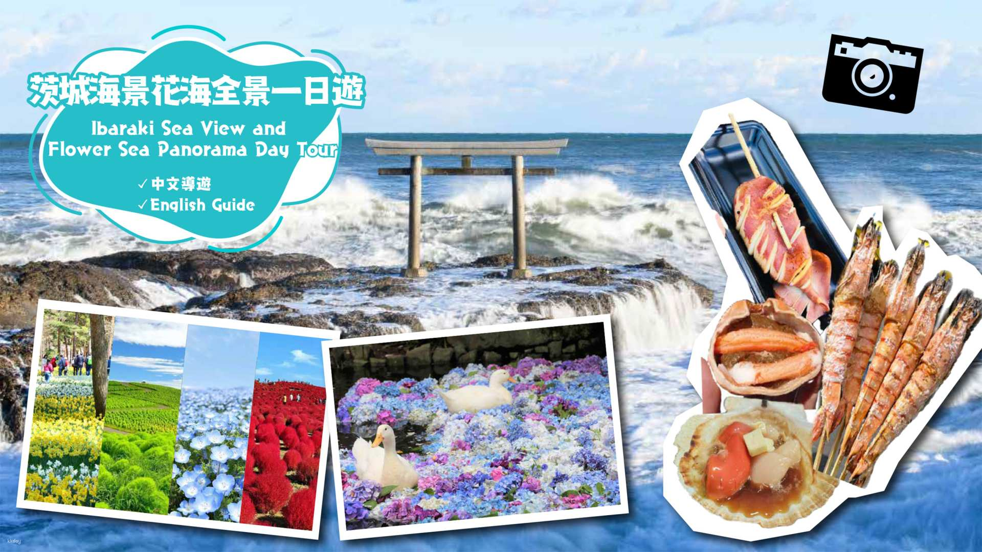 Ibaraki Day Tour｜Hitachi Seaside Park・Amebiki Kannon Temple・Oarai Shrine Torii・Nakaminato Seafood Market｜Chinese/English Tour Guide (Departing from Tokyo) - Photo 1 of 10