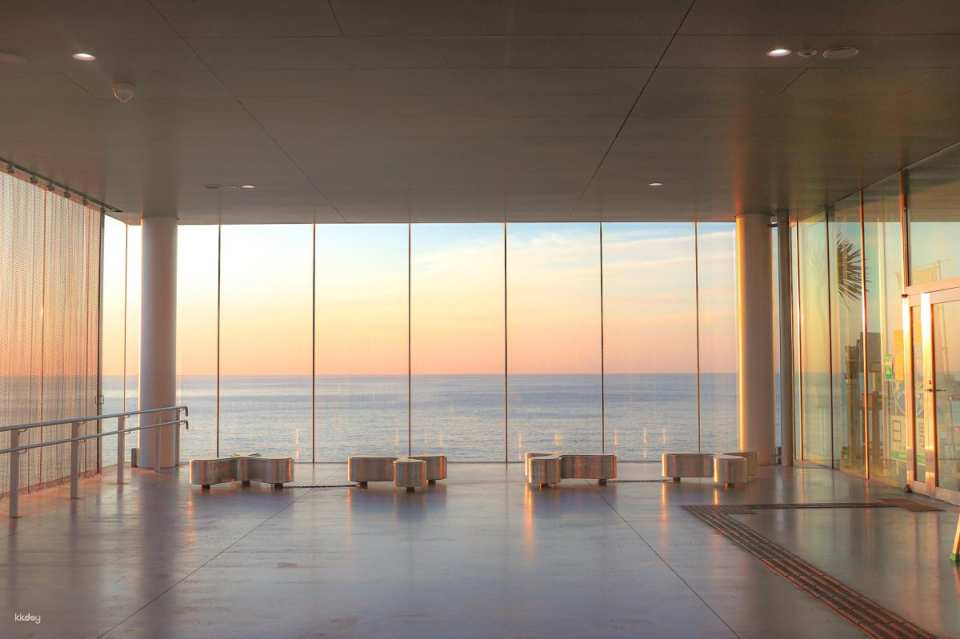 Ibaraki Popular Spots Day Tour｜Hitachi Station Sky Window, Ryujin Suspension Bridge, Ajiura Coast (Depart from Tokyo, Chinese and English Tour Guide) - Photo 1 of 10