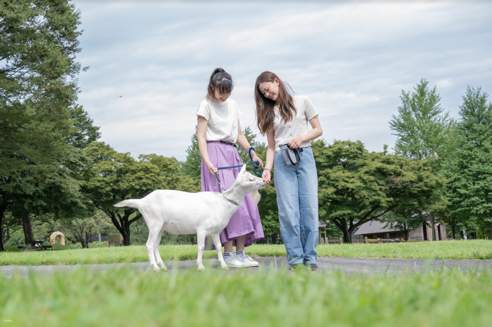 Ikaho Green Bokujo Admission Ticket | Gunma - Photo 1 of 7
