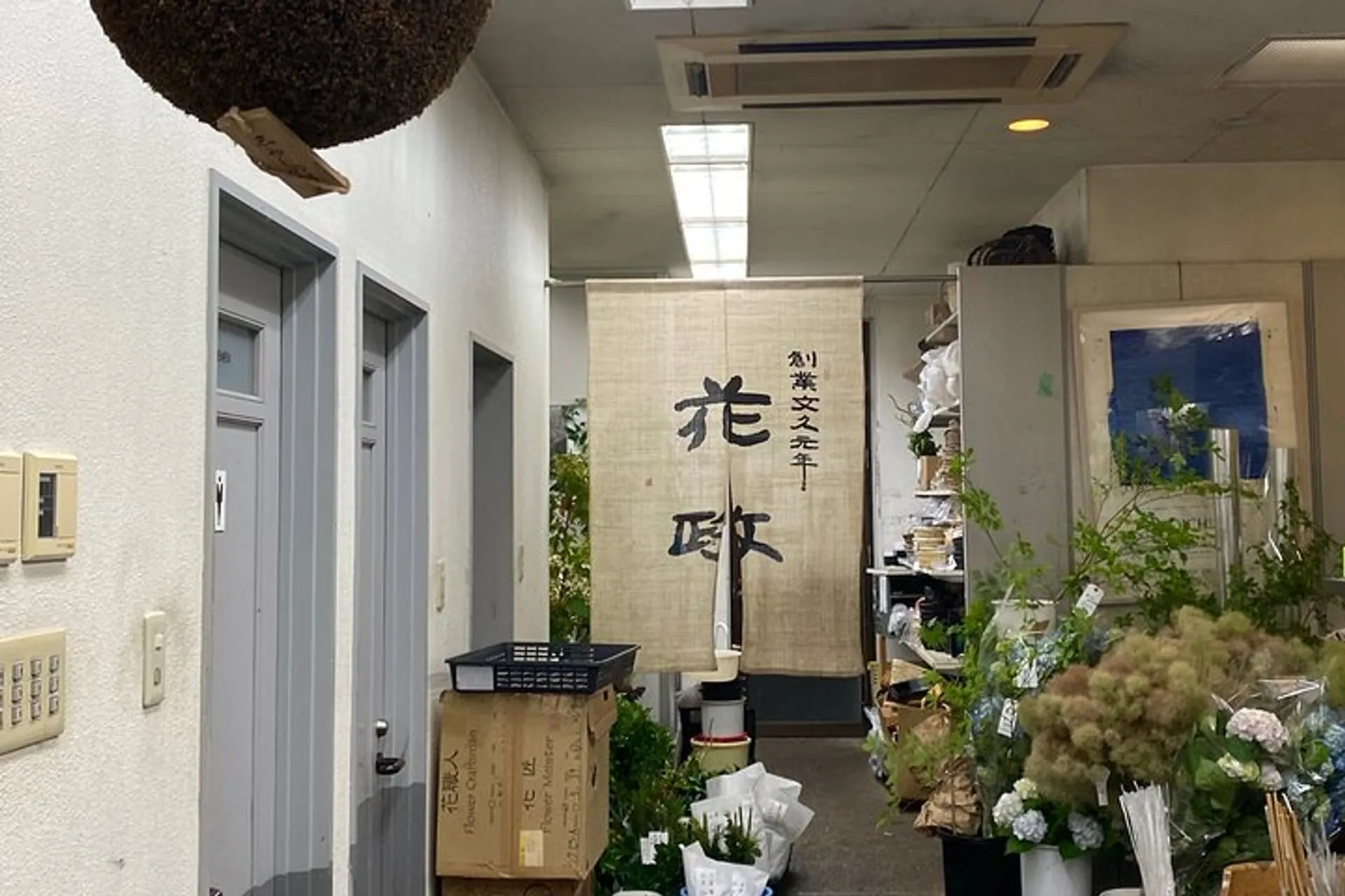 小原夏樹 絲綢華路 IKEBANA ON THE SILK ROAD Amazon.com: Ikebana on