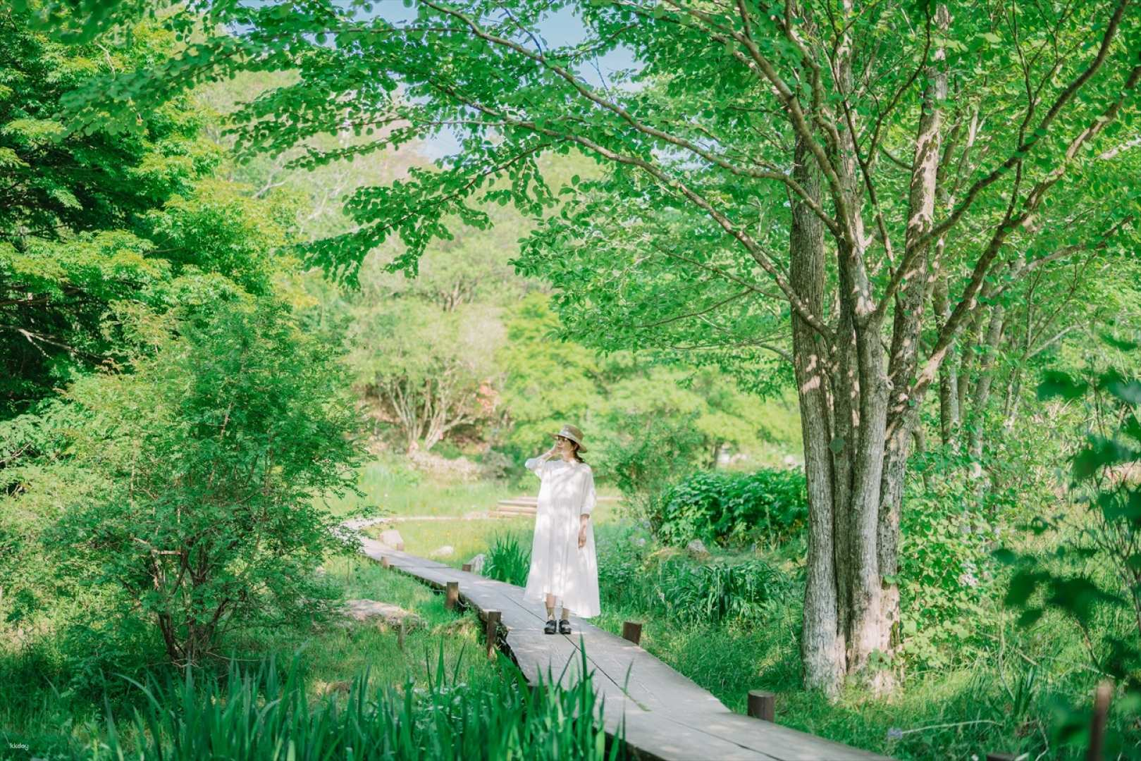 ROKKO Forest Sound Museum Admission Ticket - Instant Booking (Mount Rokko Museum, Kobe City, Hyogo Prefecture) - Photo 1 of 9