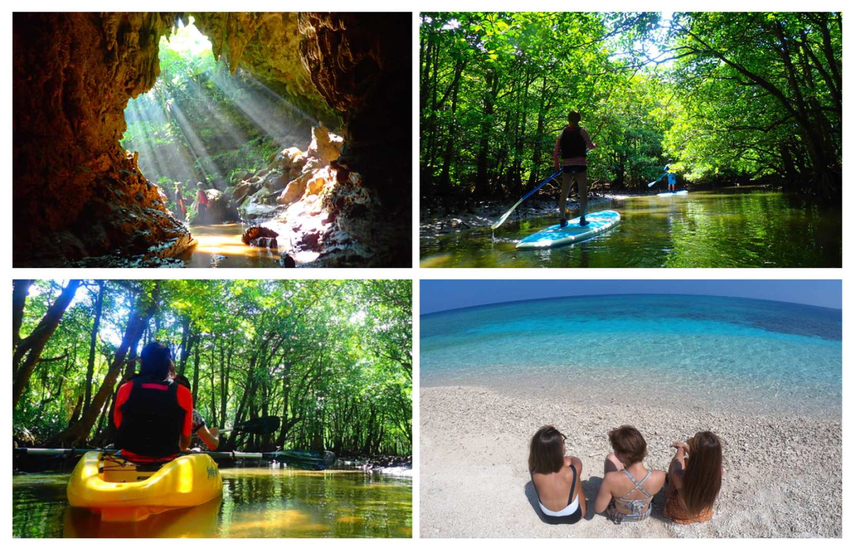 Departing from Iriomote Island | Complete tour of Iriomote Island in 1 day - Canoeing/SUP experience in the mangrove forest + cave exploration + landing on the miracle island (Barasu Island) (with hotel pick-up in the Uehara area and free photo data) - Photo 1 of 9