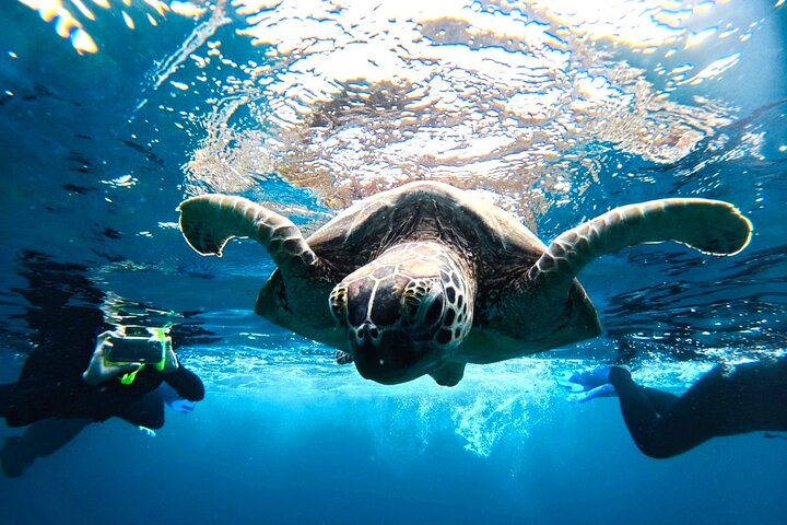 Okinawa Ishigaki Blue Cave Snorkeling Tour - Photo 1 of 23