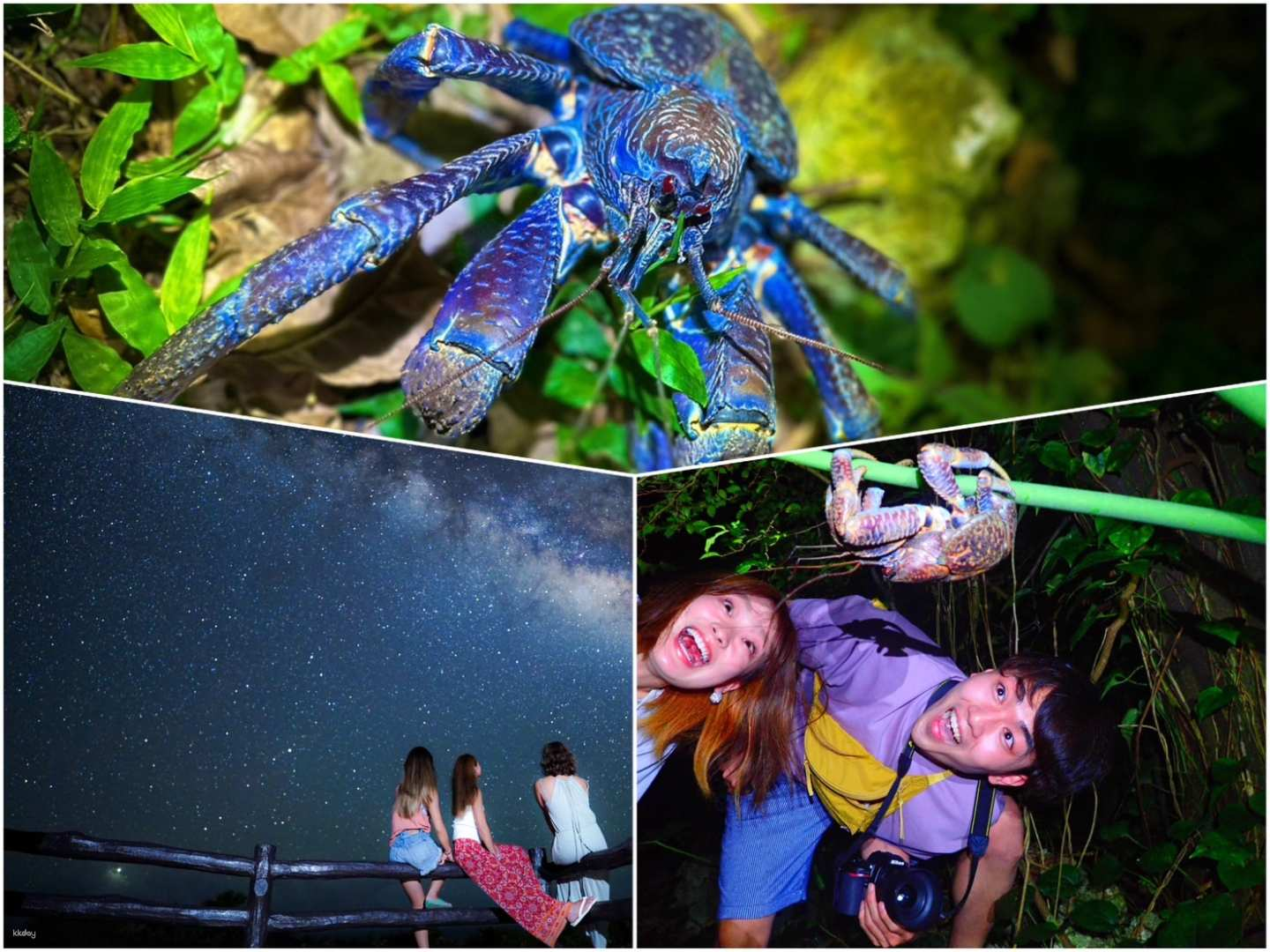 Starry Sky Observation & Jungle Night Tour | Ishigaki island, Okinawa - Photo 1 of 9