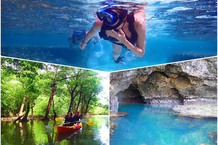 [Ishigaki]Mangrove SUP/Canoe + Blue Cave Snorkeling - Photo 1 of 24