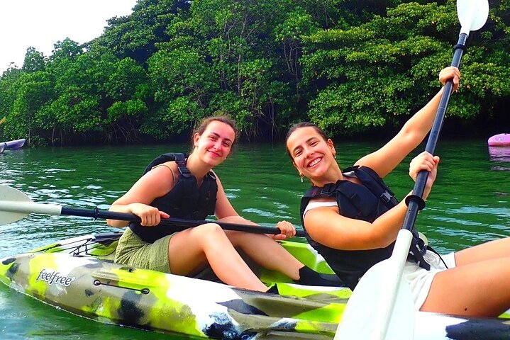 Ishigaki Mangrove SUP or Canoe + Blue Cave Snorkeling - Photo 1 of 23