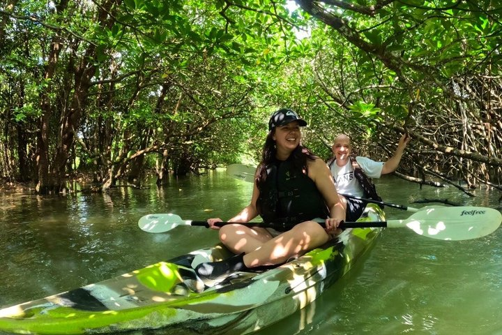 Ishigaki Mangrove SUP or Canoe + Blue Cave Snorkeling - Photo 1 of 25