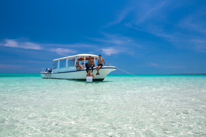 Ishigaki Mangrove SUP or Canoeing and Phantom Island Snorkeling - Photo 1 of 23