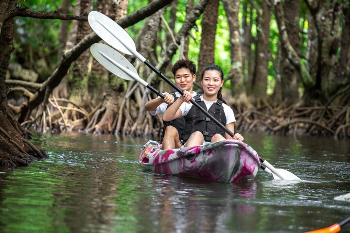 Okinawa Ishigaki Mangrove SUP or Canoe Tour - Photo 1 of 21