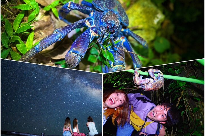 Okinawa Ishigaki Island Night Starry sky and Jungle night tour - Photo 1 of 15