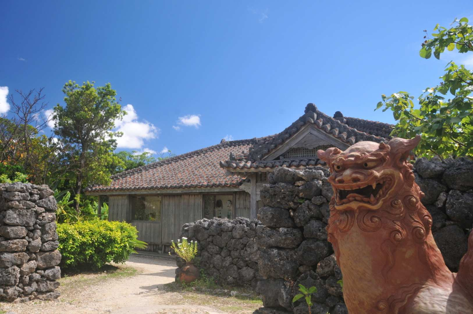 Explore historic houses and meet playful squirrel monkeys buffaloes and crested eagles while enjoying captivating sanshin performances all within the charm of Okinawa's Ishigaki Yaima Village.