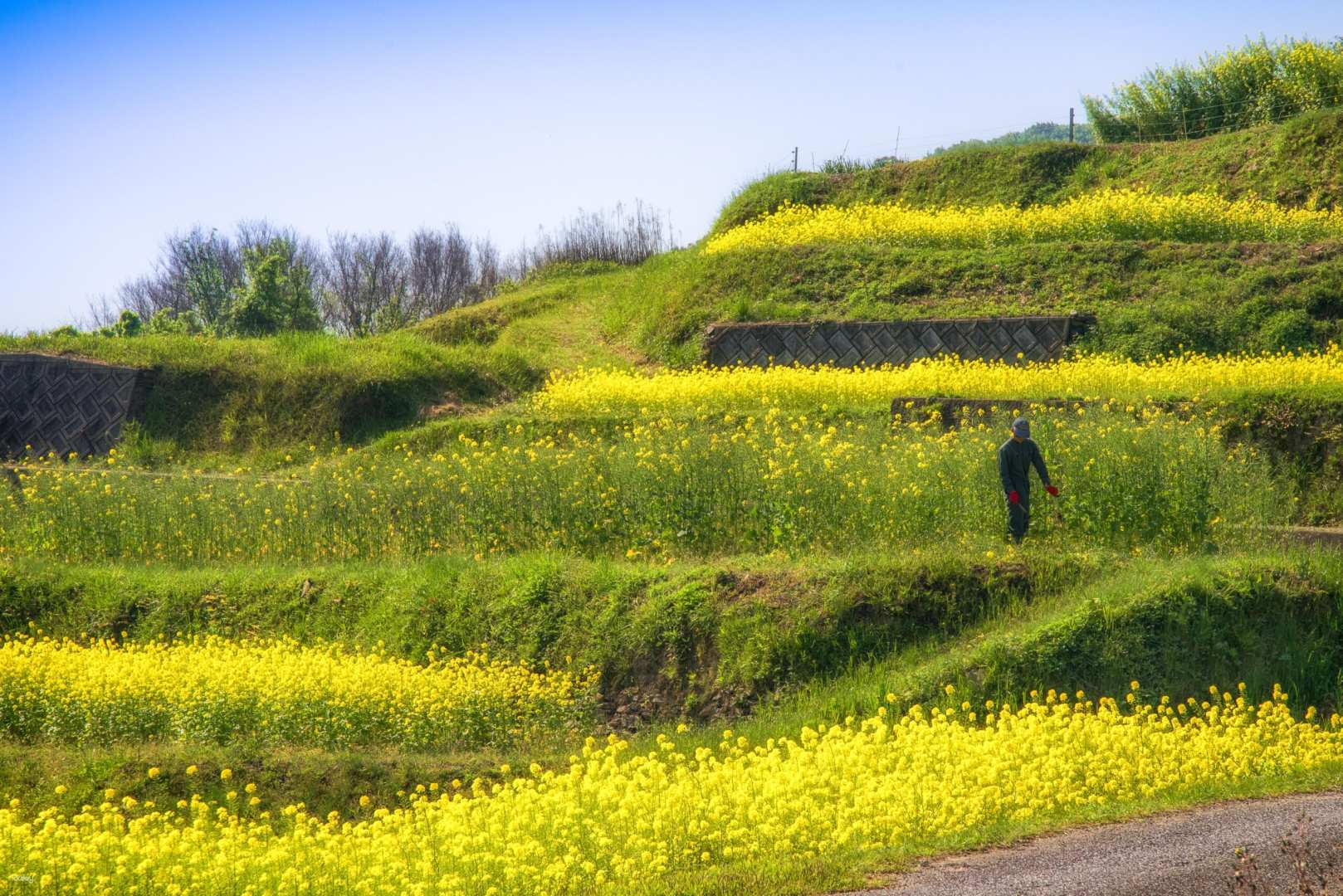 Japan Kagawa | Teshima 1-day tour | Enjoy art, food and nature in a private taxi | Chinese guide included - Photo 1 of 4