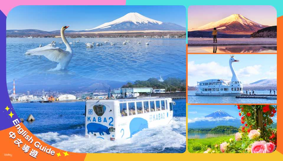 Japan Mt. Fuji Classic Day Tour｜Yamanakako KABA Bus／Cycling＋Oshino Hakkai＋Kawaguchiko Oishi Park｜Depart from Tokyo - Photo 1 of 10