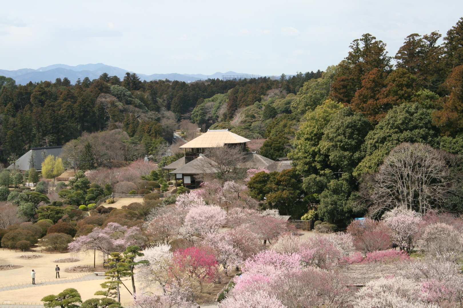 Kairakuen Main Garden admission ticket (Mito City, Ibaraki Prefecture) - Photo 1 of 4