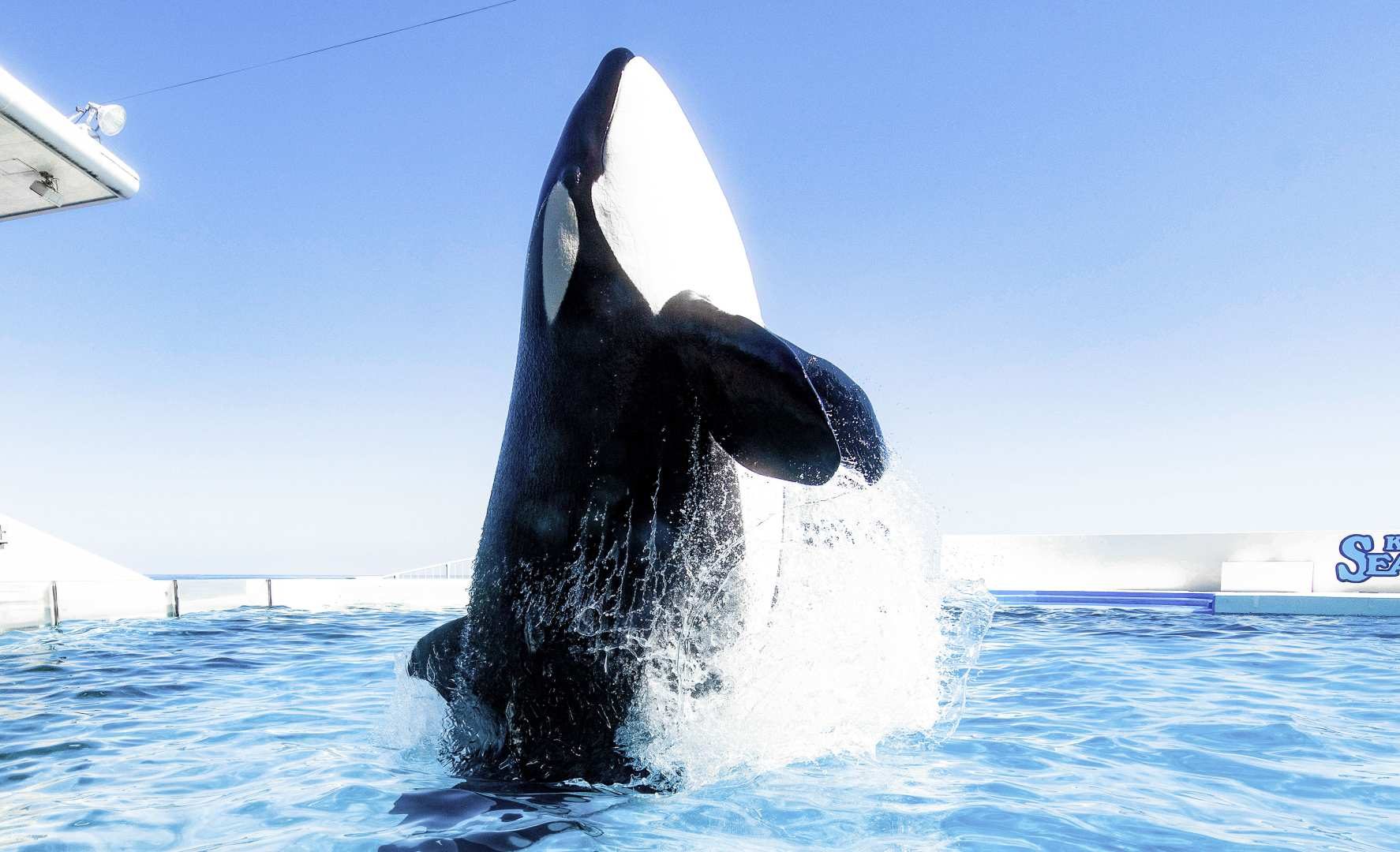 Tiket Masuk Kamogawa Sea World | Jepang - Photo 1 of 7