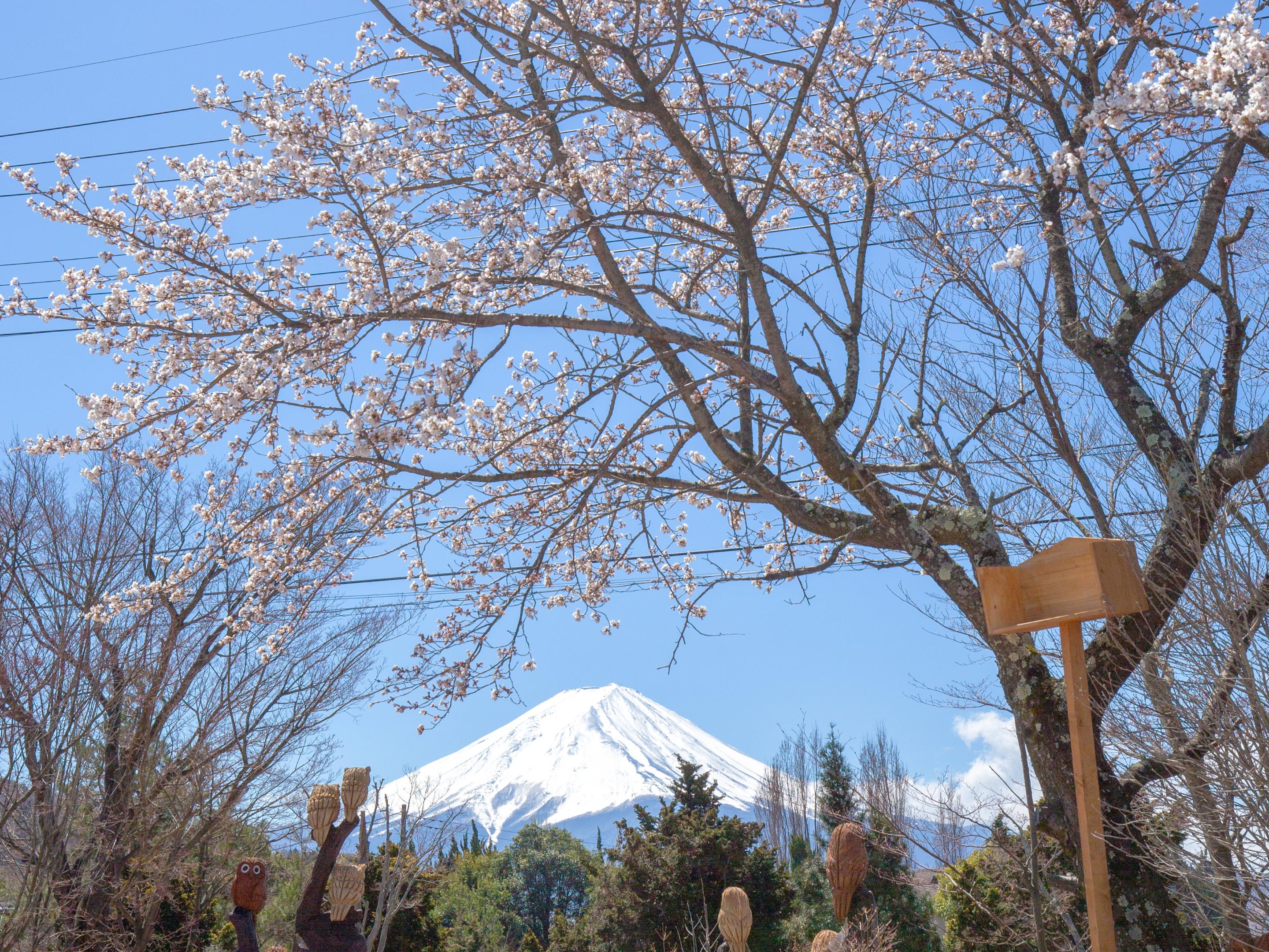 Kawaguchiko Craft Park - Photo 1 of 9