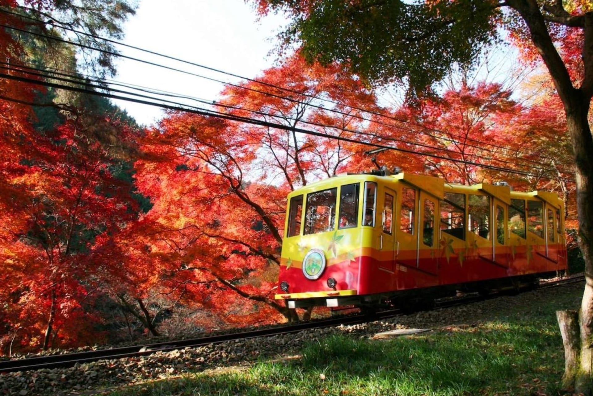 0721-0525_0502-0912_keio-line-