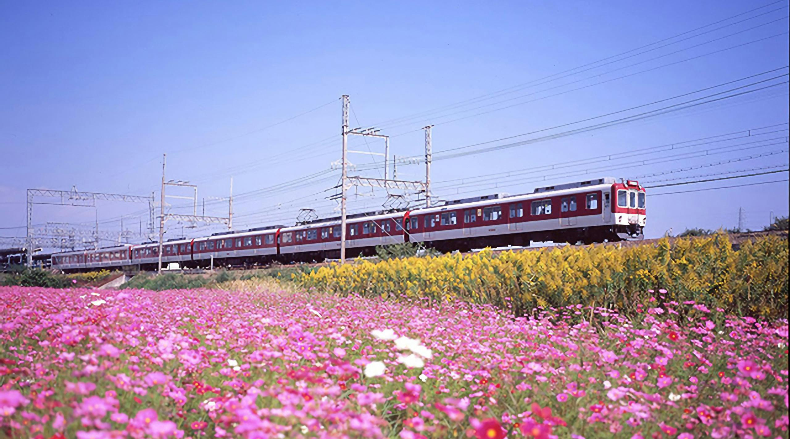 Kintetsu Rail Pass: 2-Day Digital Pass Covering Osaka, Nara, Kyoto - Photo 1 of 5