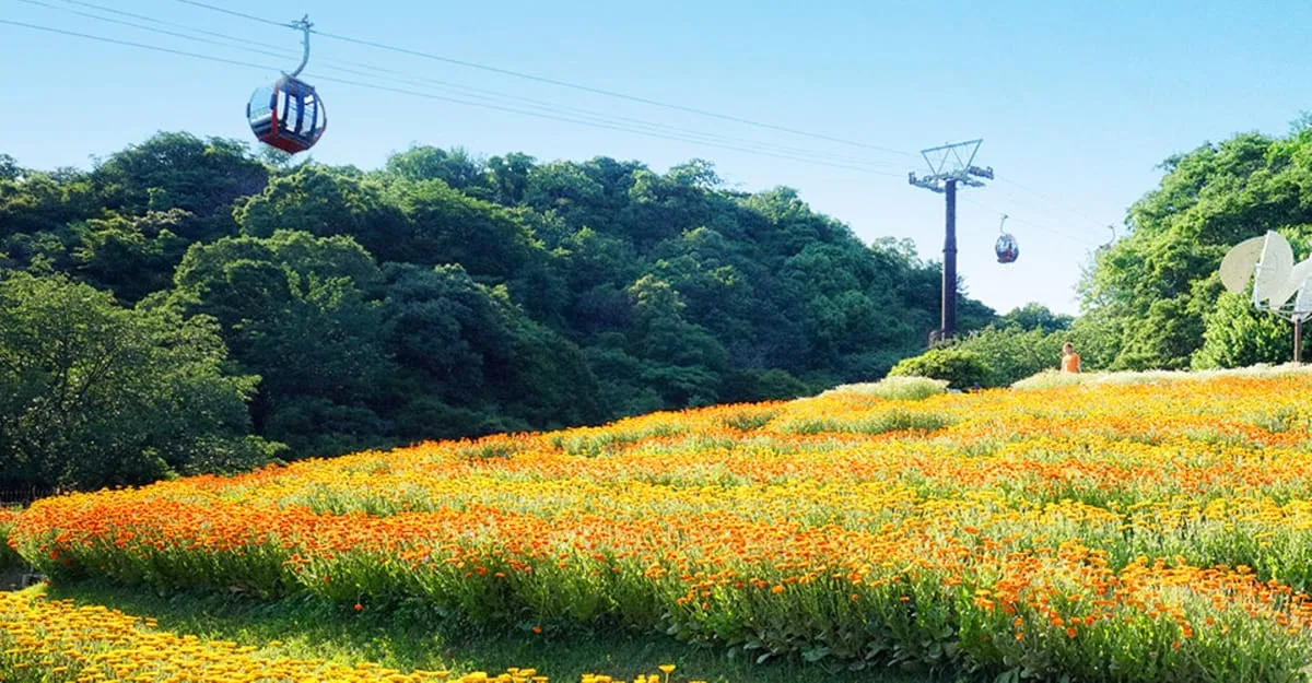 Kobe Nunobiki Herb Gardens & Ropeway Cable Car Tickets in Osaka