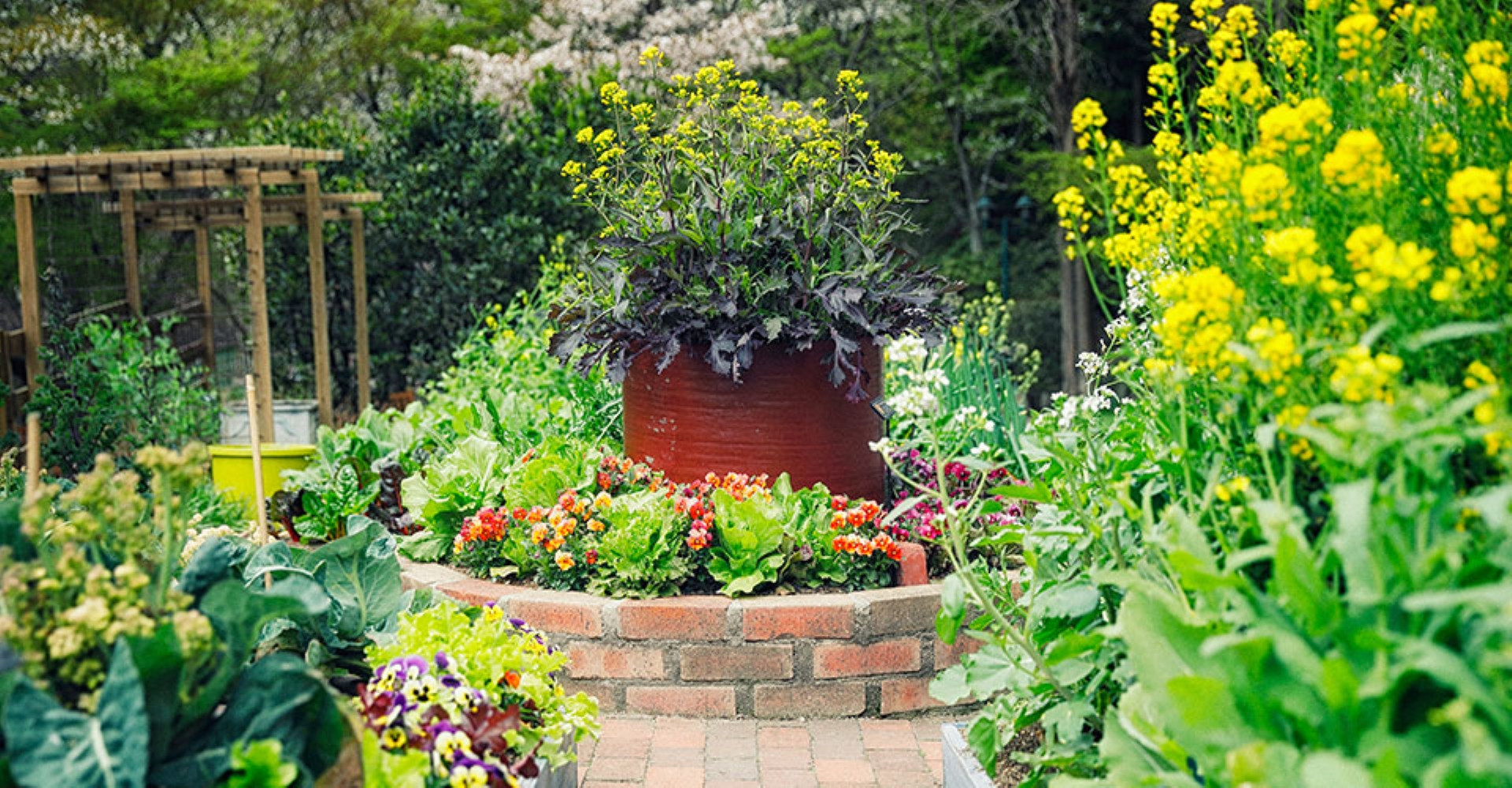 Kobe Nunobiki Herb Gardens & Ropeway Cable Car Tickets in Osaka