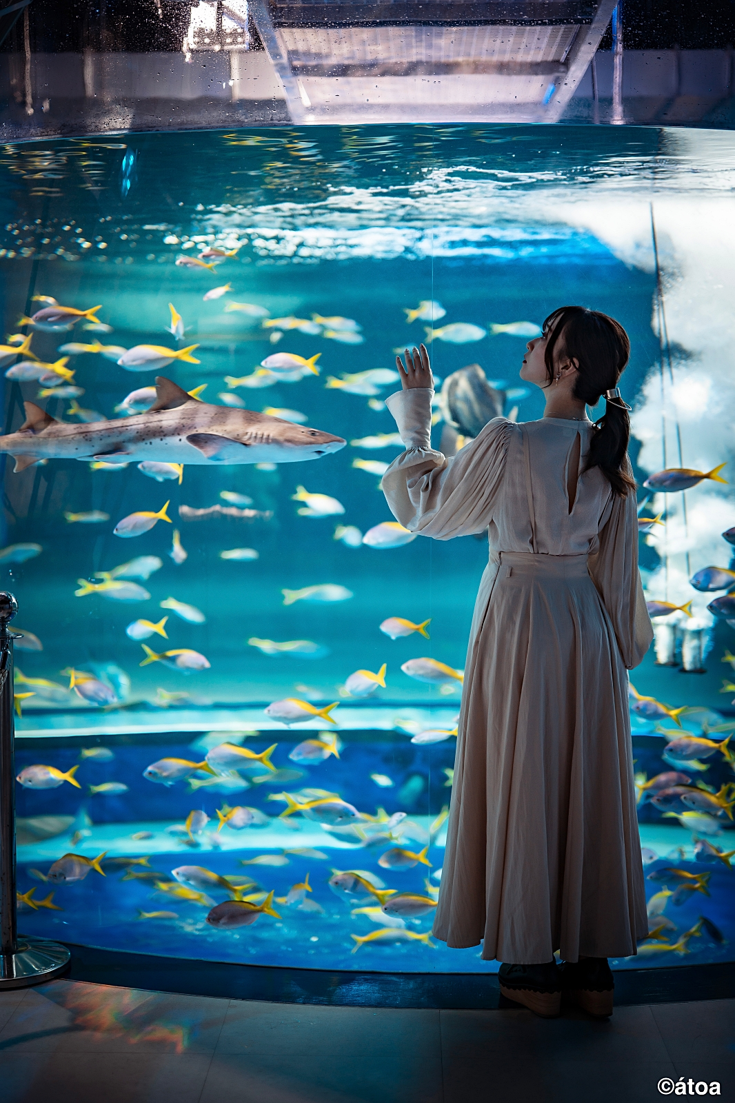 Kobe Urban Aquarium AQUARIUM×ART átoa Admission Ticket + Hankyu 1-Day Pass Set - Photo 1 of 12