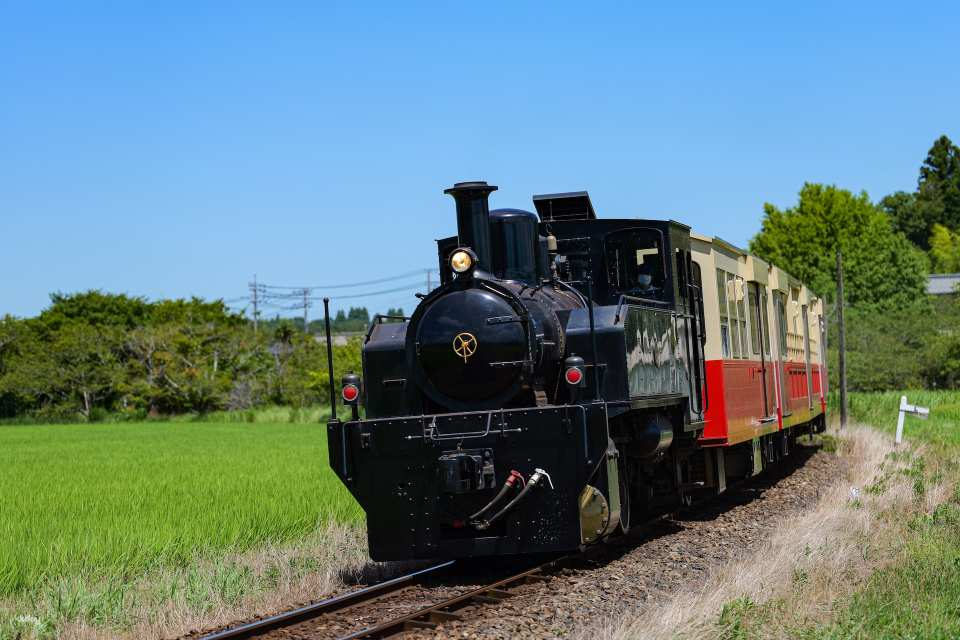 Kominato Railway Trolley Train Reserved Seat Ticket + 1-Day Pass Set (Chiba Prefecture) - Photo 1 of 10