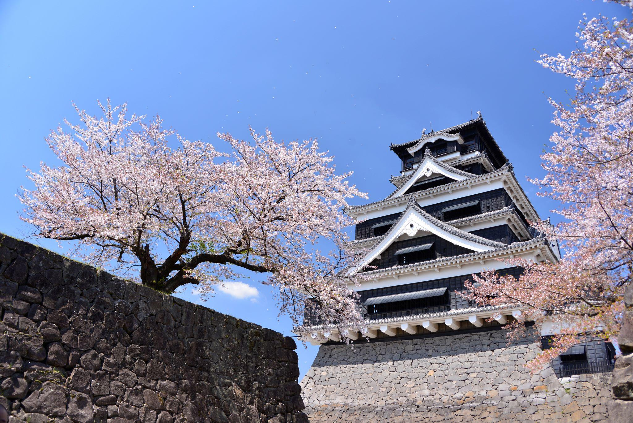 Kumamoto Castle Admission Ticket - Photo 1 of 3