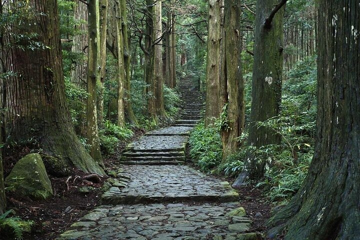 Kumanokodo 2 Day Walking Tour from Osaka - Photo 1 of 8