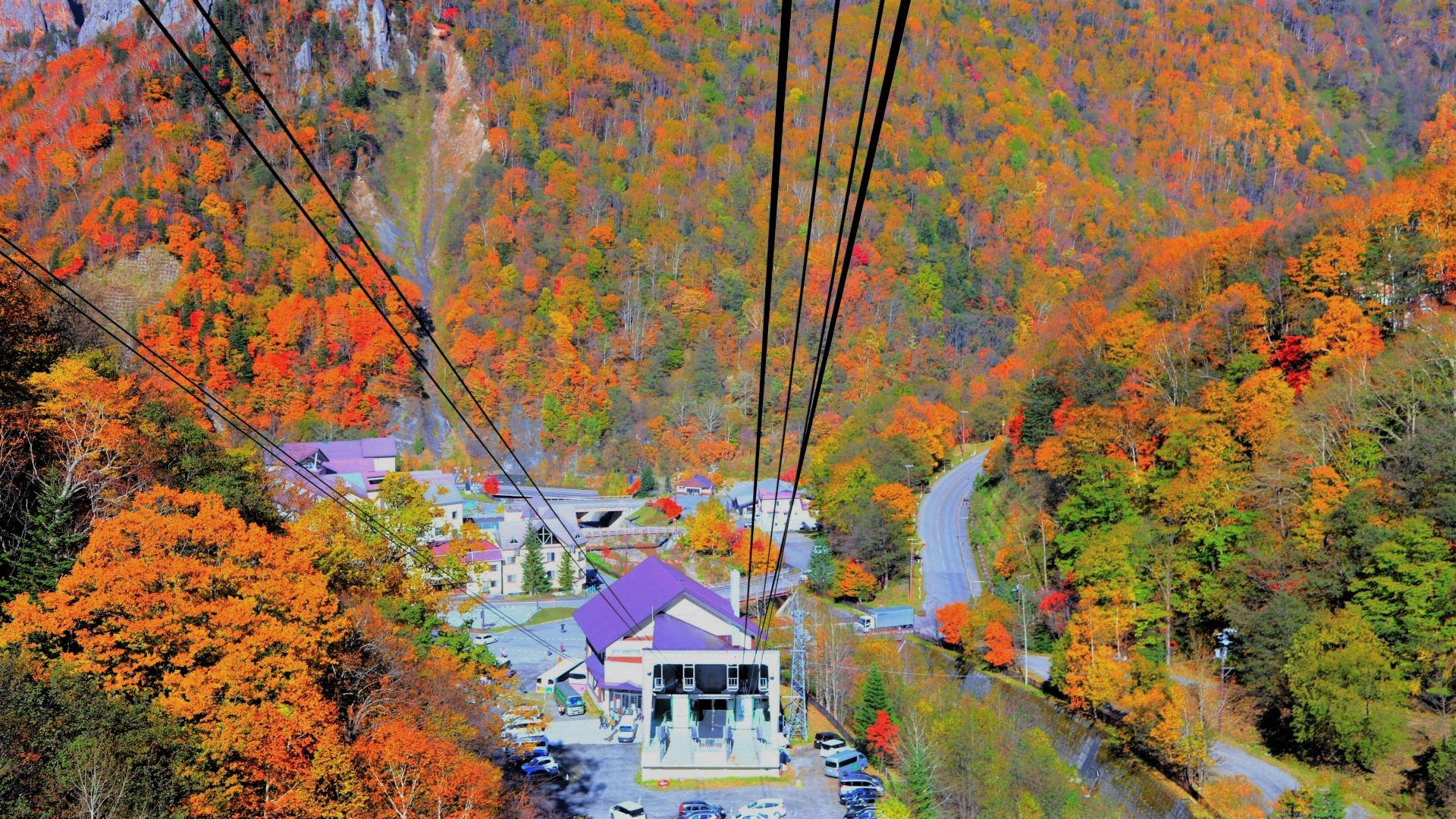 Kurodake Ropeway, Asahiyama Zoo Autumn Leaves Bus Tour in Hokkaido