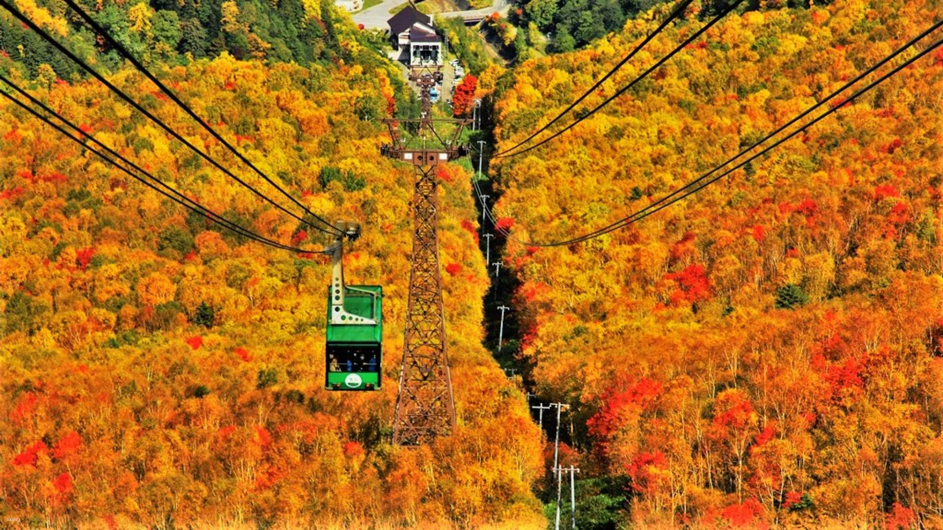 Experience breathtaking views of fiery reds deep yellows and rich greens while gliding above the stunning landscape on the Kurodake Ropeway. Perfect for nature lovers and wildlife enthusiasts!