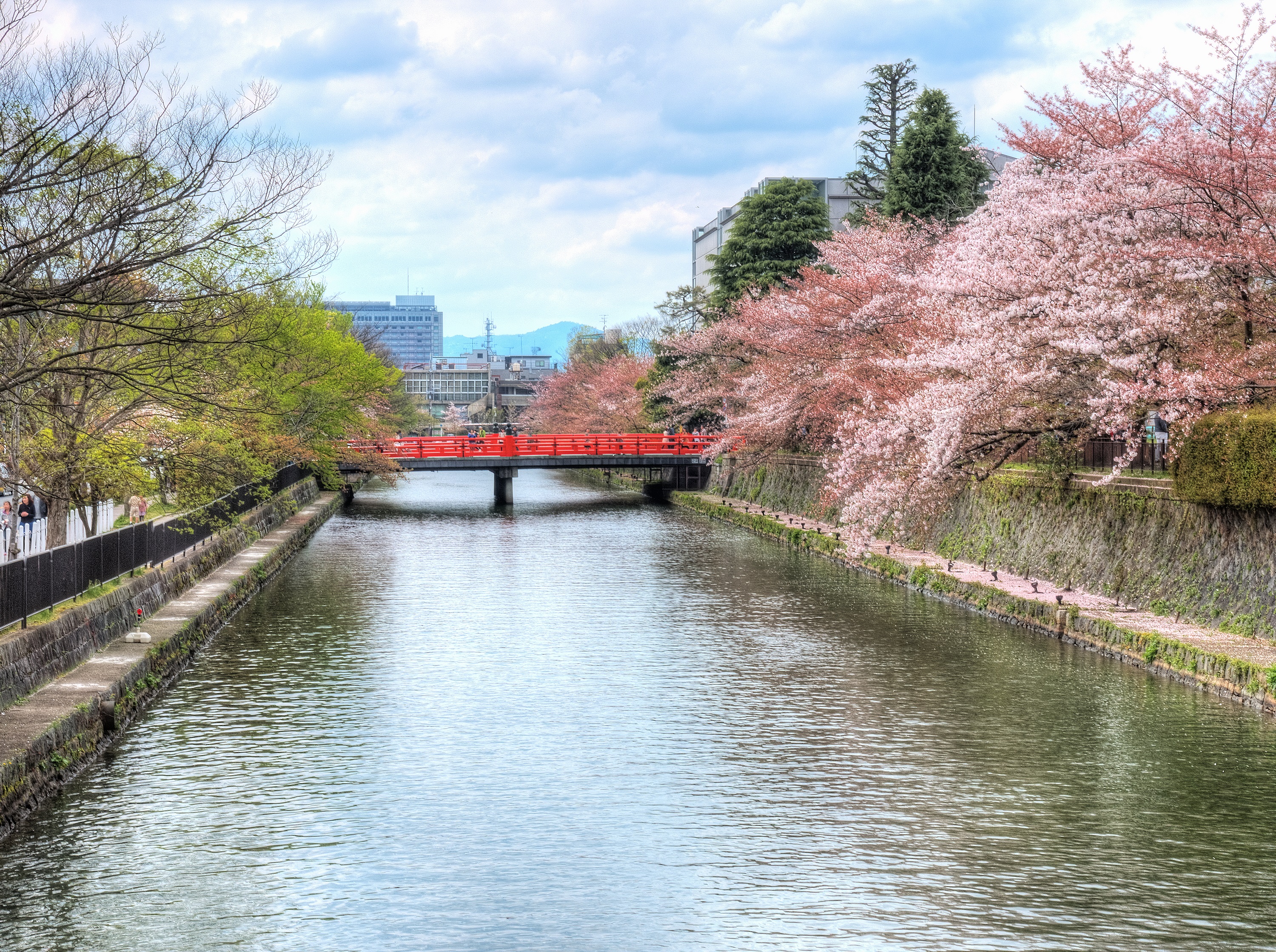 Kyoto Bicycle Adventure Tour - 4 Hrs - Photo 1 of 7
