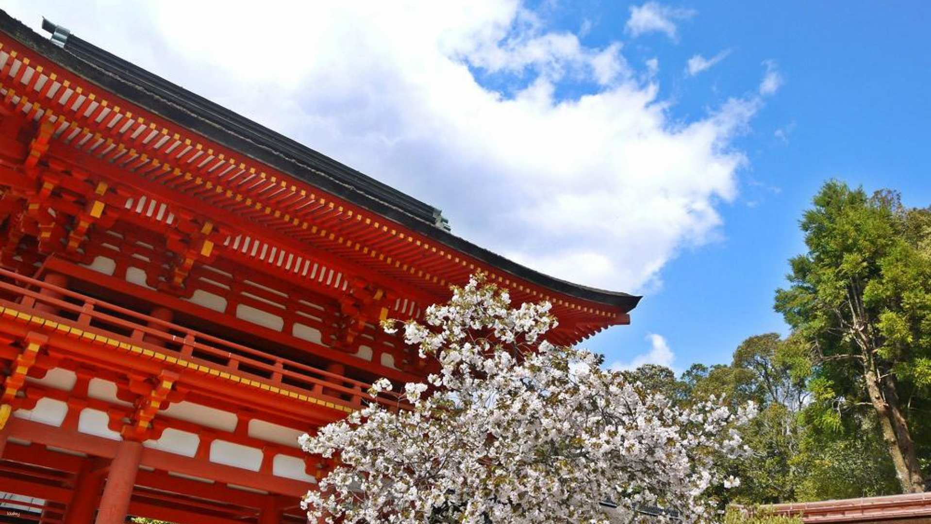 [Kyoto Day Trip] Daitoku-ji Temple, Soken-in Temple, Kamigamo Shrine, Shimogamo Shrine, Mugi Rice and Potato Stew - Photo 1 of 14