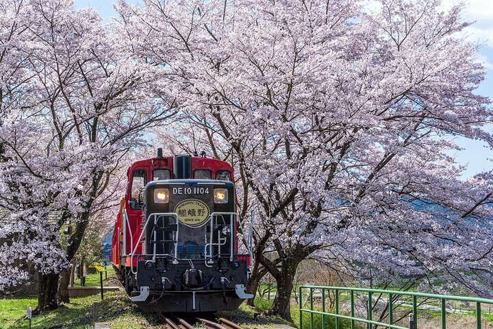 Kyoto Hozugawa River Boat Sagano Romantic Train Arashiyama Tour - Photo 1 of 13